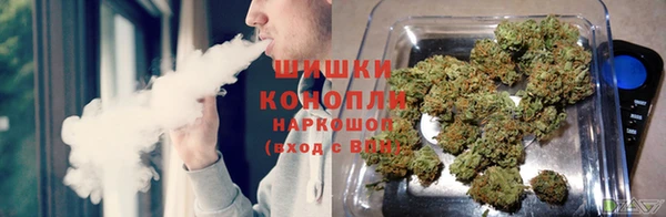 сатива Красноперекопск