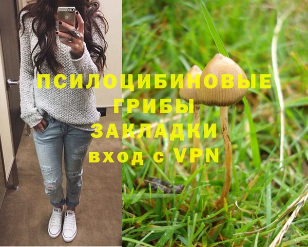 хмурый Коряжма
