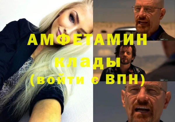 шишки Костерёво